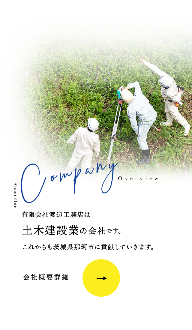 sp_body_bg